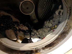 ドラム式洗濯機のカビ汚れ